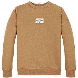 Tommy Hilfiger sweater bruin