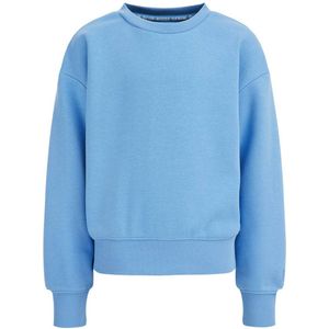 WE Fashion Blue Ridge sweater lichtblauw