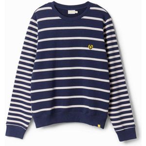 Desigual gestreepte sweater donkerblauw/wit