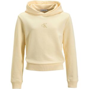 Calvin Klein hoodie met logo