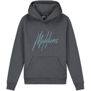 Malelions hoodie Striped Signature met printopdruk donkergrijs/grijsblauw