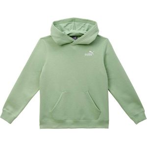 Puma hoodie groen
