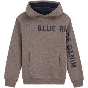 WE Fashion hoodie plaza taupe