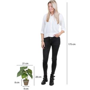 Mica Decorations kunstplant Caladium