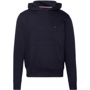 Tommy Hilfiger hoodie met logo desert sky