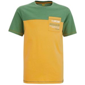 WE Fashion T-shirt groen/geel