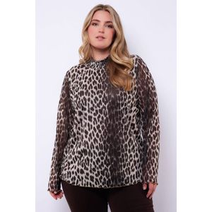 Exxcellent top bruin