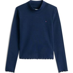 TOMMY HILFIGER Shirt  donkerblauw