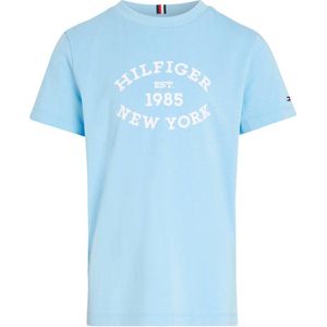 Tommy Hilfiger T-shirt met printopdruk lichtblauw