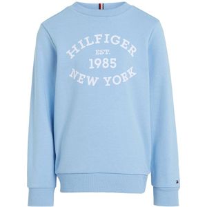 Tommy Hilfiger sweater met tekst lichtblauw