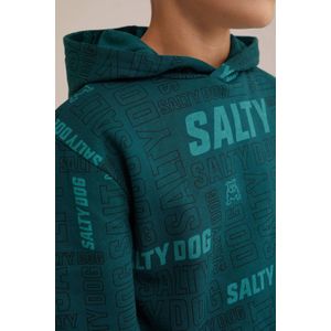 Salty Dog hoodie petrol