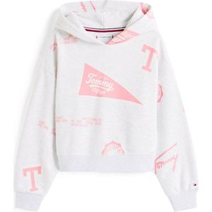 Tommy Hilfiger hoodie grijs melange