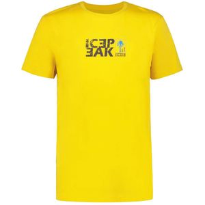 Icepeak outdoor T-shirt Mankato geel