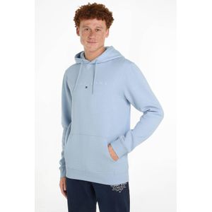 Tommy Jeans Big & Tall hoodie met logo breezy blue