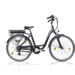 Villette le Bonheur elektrische fiets 48 cm