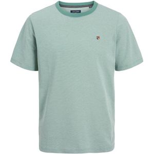 JACK & JONES PLUS SIZE T-shirt JPRBLUWIN Plus Size groen