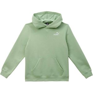 Puma hoodie groen