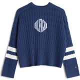 TOMMY HILFIGER Trui  navy / wit