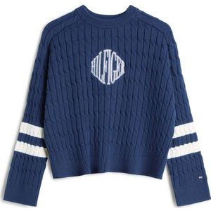 TOMMY HILFIGER Trui  navy / wit