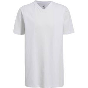LERROS T-shirt - (set van 2)