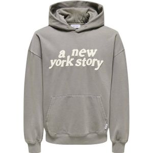 ONLY & SONS hoodie ONSRAIDEN lichtgrijs