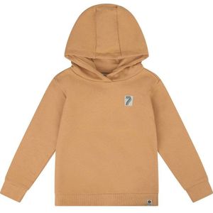 Daily7 hoodie met backprint bruin