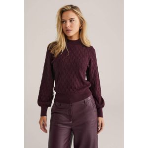 WE Fashion trui donkerrood