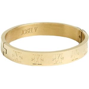 JOSH V - Birgitte Bangle - Goud - Dames Armband