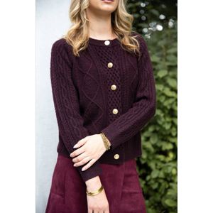 ICNK.Amsterdam gebreid vest donkerrood met kabels