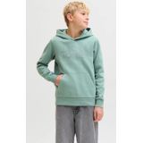 JACK & JONES JUNIOR hoodie lichtgroen