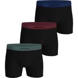 Björn Borg boxershort (set van 3)