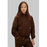 Calvin Klein Jeans Sweatshirt  bruin / wit