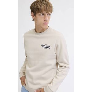 JJ REBEL sweater lichtgrijs