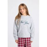 America Today gebreide trui grijs