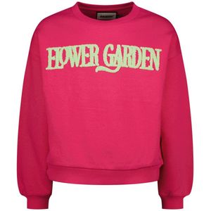 Raizzed sweater roze