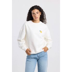 America Today Sterling Crew - Dames Trui - Maat Xs