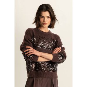 Expresso gestreepte gebreide trui donkerbruin met pailletten
