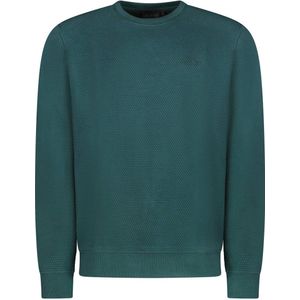 Cars sweater met textuur donkergroen