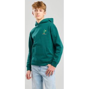 America Today hoodie groen