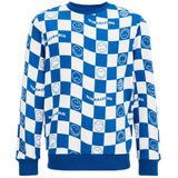 WE Fashion geruite sweater blauw/wit