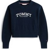 Tommy Hilfiger sweater donkerblauw