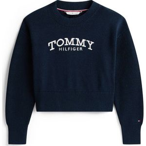 Tommy Hilfiger sweater donkerblauw