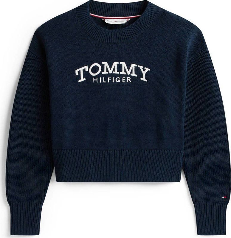 Tommy Hilfiger sweater donkerblauw