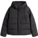 TOMMY HILFIGER Winterjas  zwart