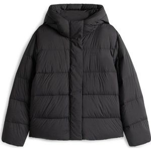 TOMMY HILFIGER Winterjas  zwart