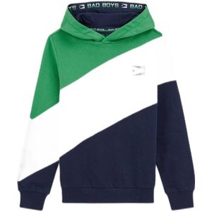 WE Fashion hoodie multi