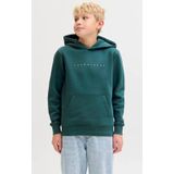 JACK & JONES JUNIOR hoodie
