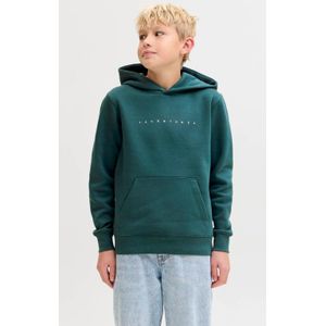 JACK & JONES JUNIOR hoodie