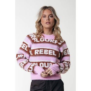 Colourful Rebel gebreide trui roze