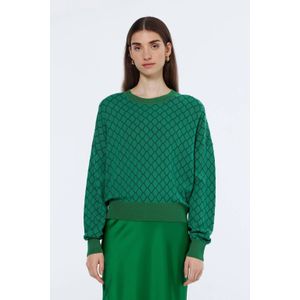 Scotch & Soda pullover groen